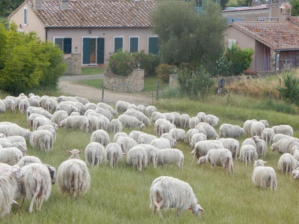 Piane Del Bagno Villa Saturnia Exterior foto